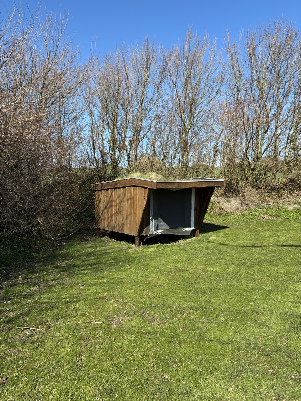 Gro%C3%9F%20%28IMG_1371%29